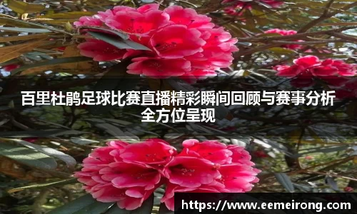 百里杜鹃足球比赛直播精彩瞬间回顾与赛事分析全方位呈现